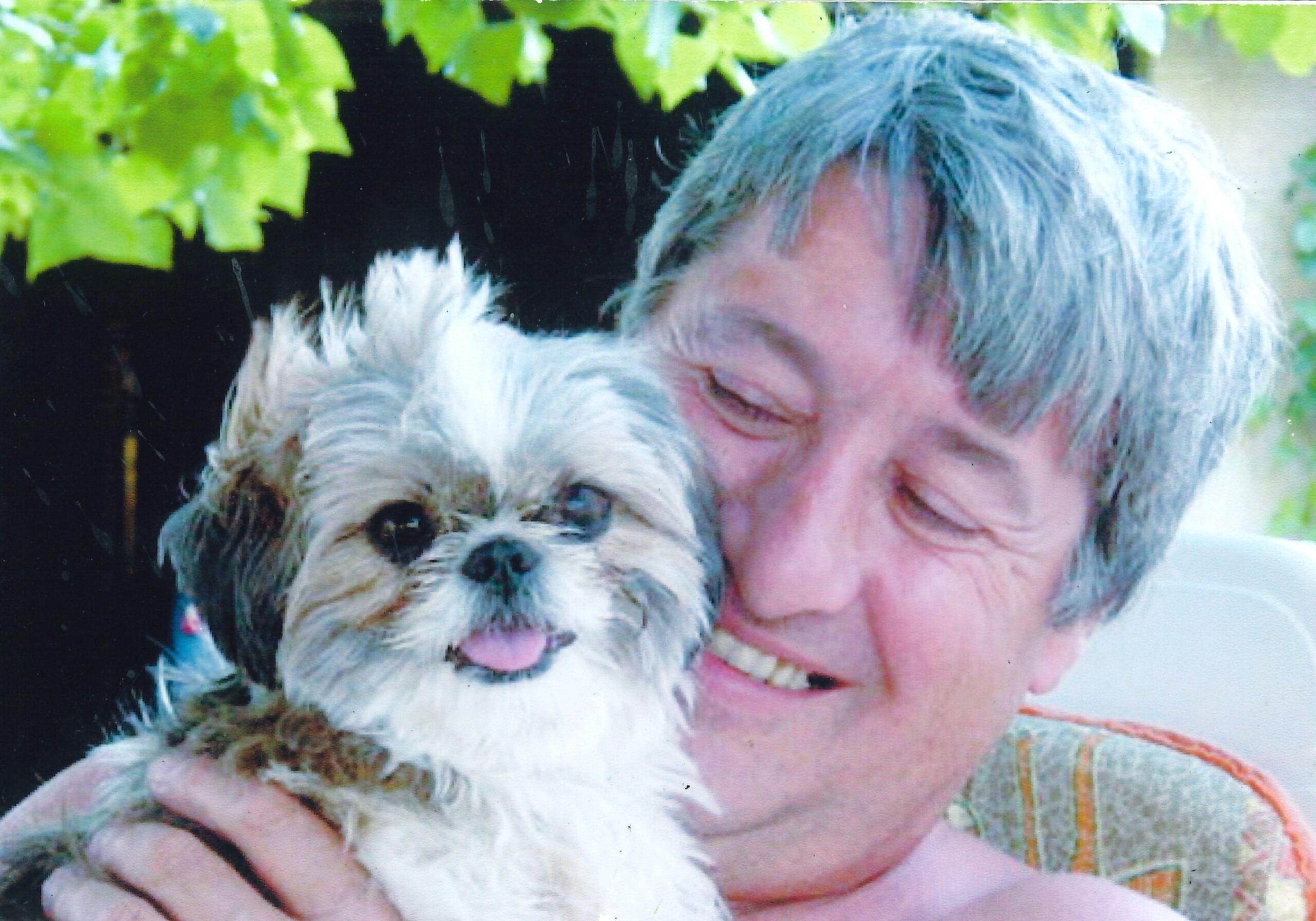 Monsieur Jean-Michel DELCAMP