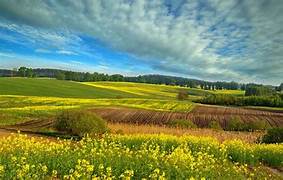 Monsieur Wladyslaw CHWESIUK